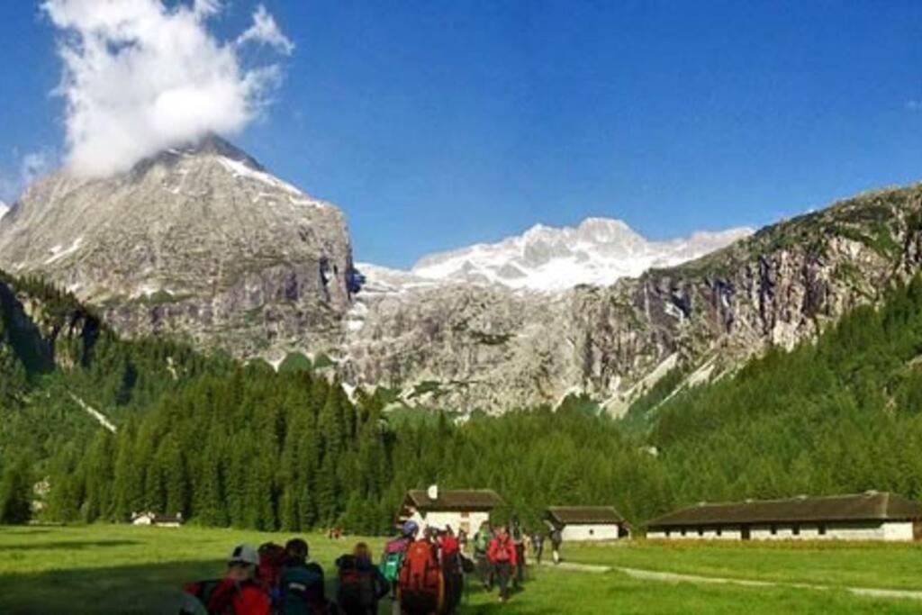 Lovely In Val Rendena 7 Pinzolo
